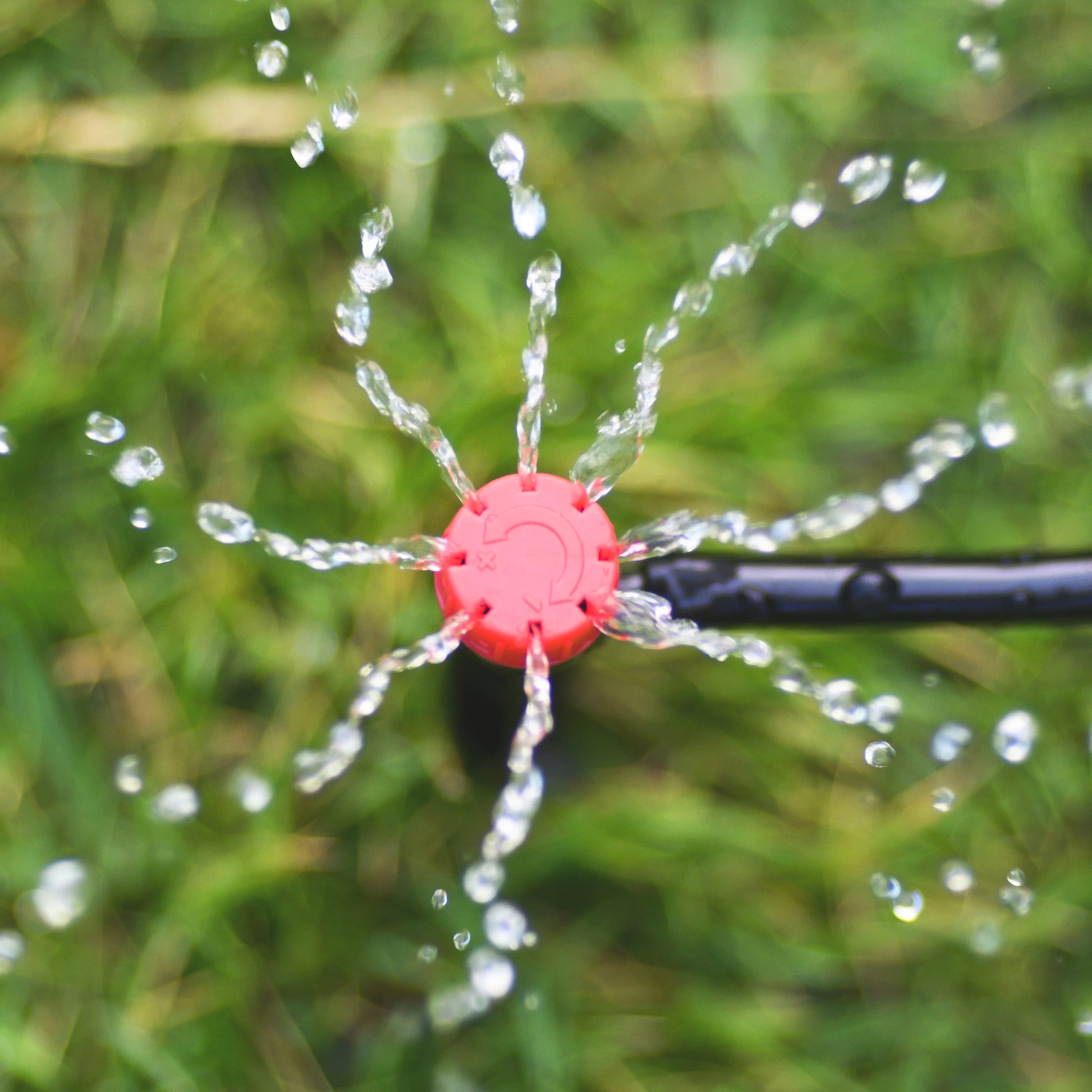 arrosage-goutte-a-goutte-facile-d_installation