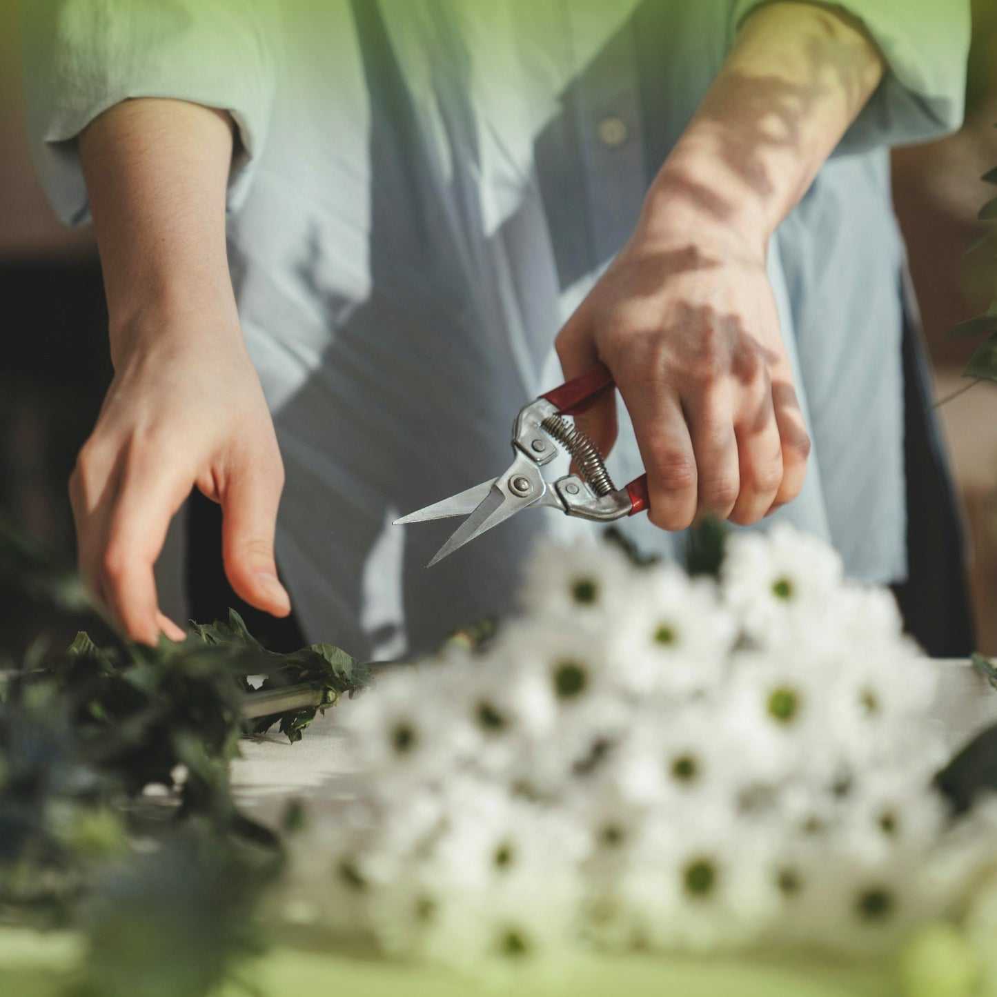 Cisaille-de-perfection-ciseaux-de-jardinage-outils-de-jardinage-pour-la-taille-des-fleurs-et-légumes