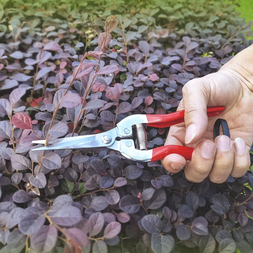 Cisaille-légère-et-robuste-pour-tailler-et-cueillir-fruits-fleurs-et-légumes-multitâches-polyvalente-ciseaux-de-jardinage-outils-de-jardinage