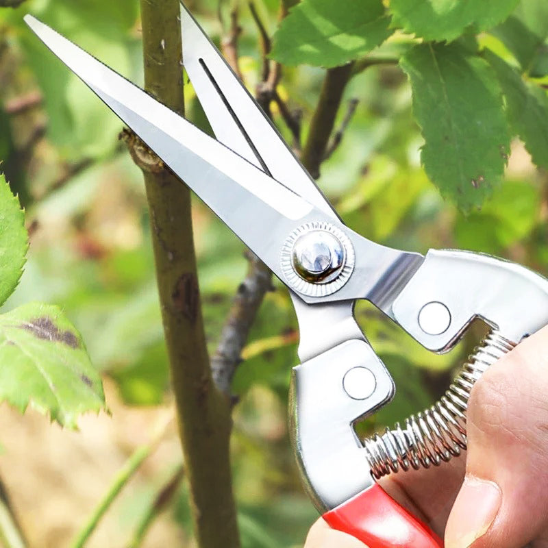 Cisaille-polyvalente-par-excellence-ciseaux-de-jardinage-outils-de-jardinage-pour-la-taille-des-fleurs-et-légumes