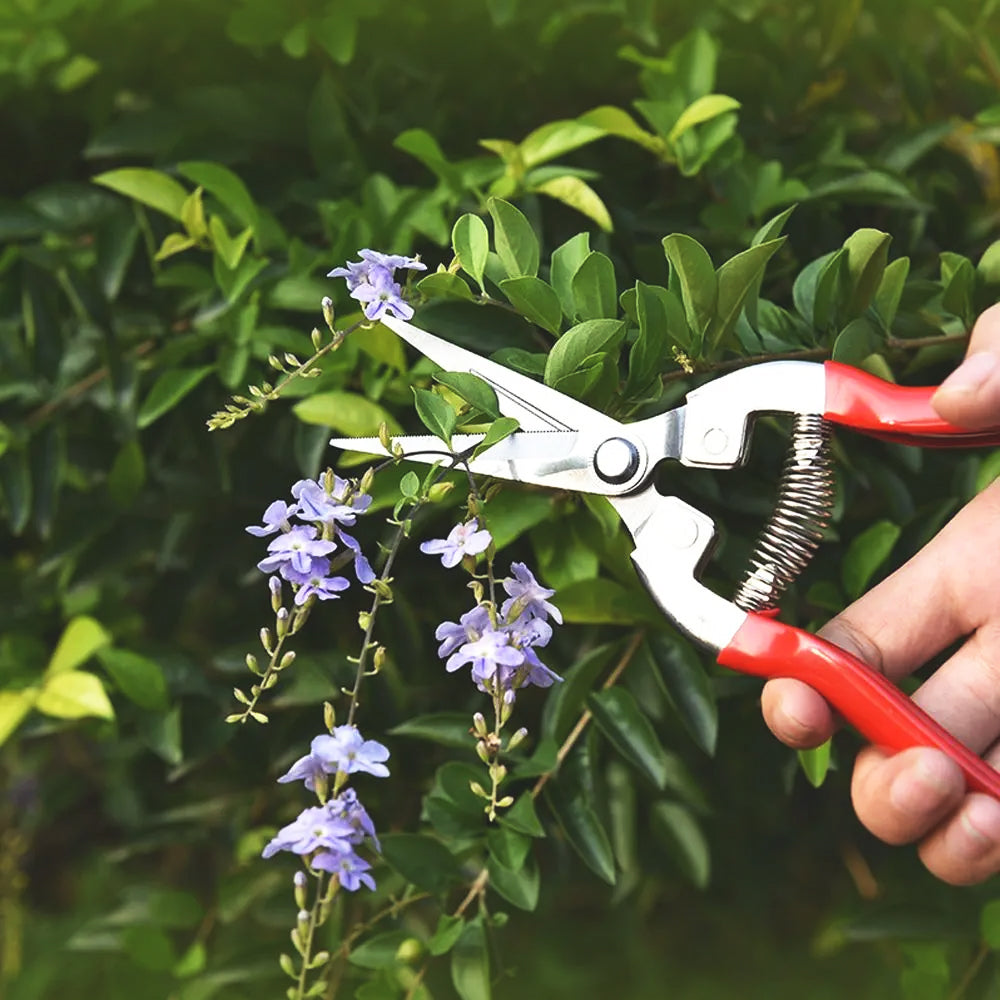 Cisaille-pour-tailler-et-cueillir-fruits-fleurs-et-légumes-multitâches-polyvalente-ciseaux-de-jardinage-outils-de-jardinage