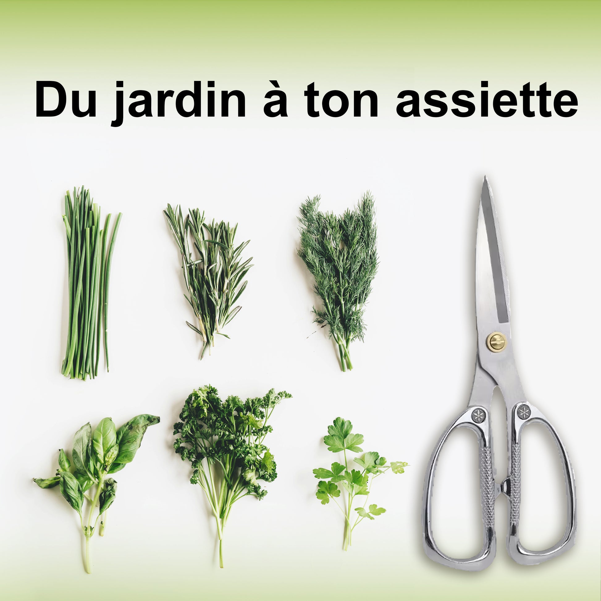 Ciseaux-tout-usage-robustes-ciseaux de cuisine, outils de jardinage, 