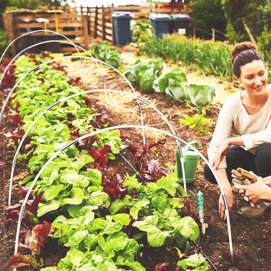 Mini-serre-de-jardin-en-ville