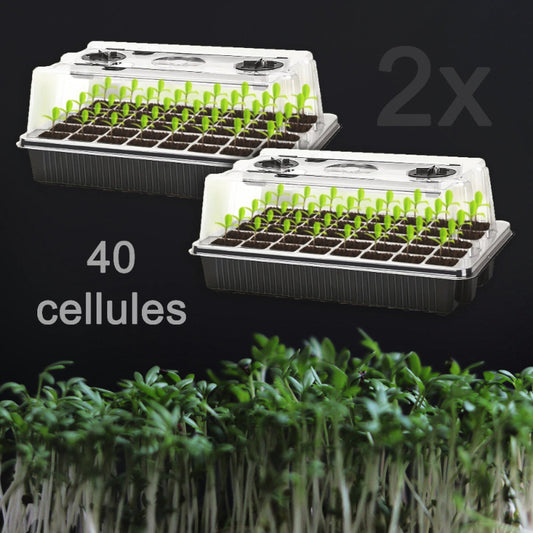 Mini-serre-durable-pour-semis