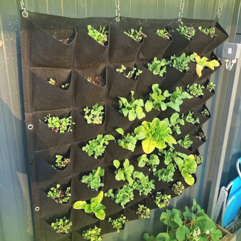 jardiniere-murale-pour-le-potager