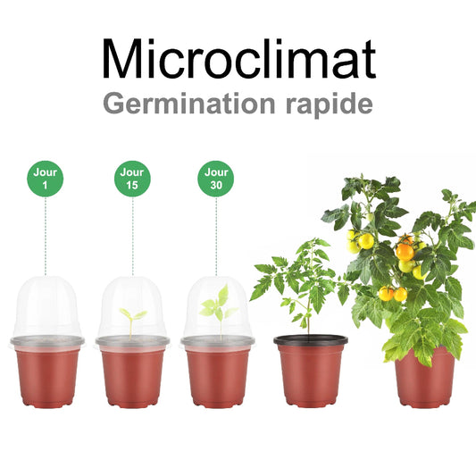 mini-serre-germination-rapide